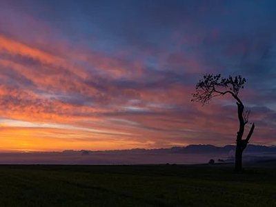 測試發布的的第四條新聞標題